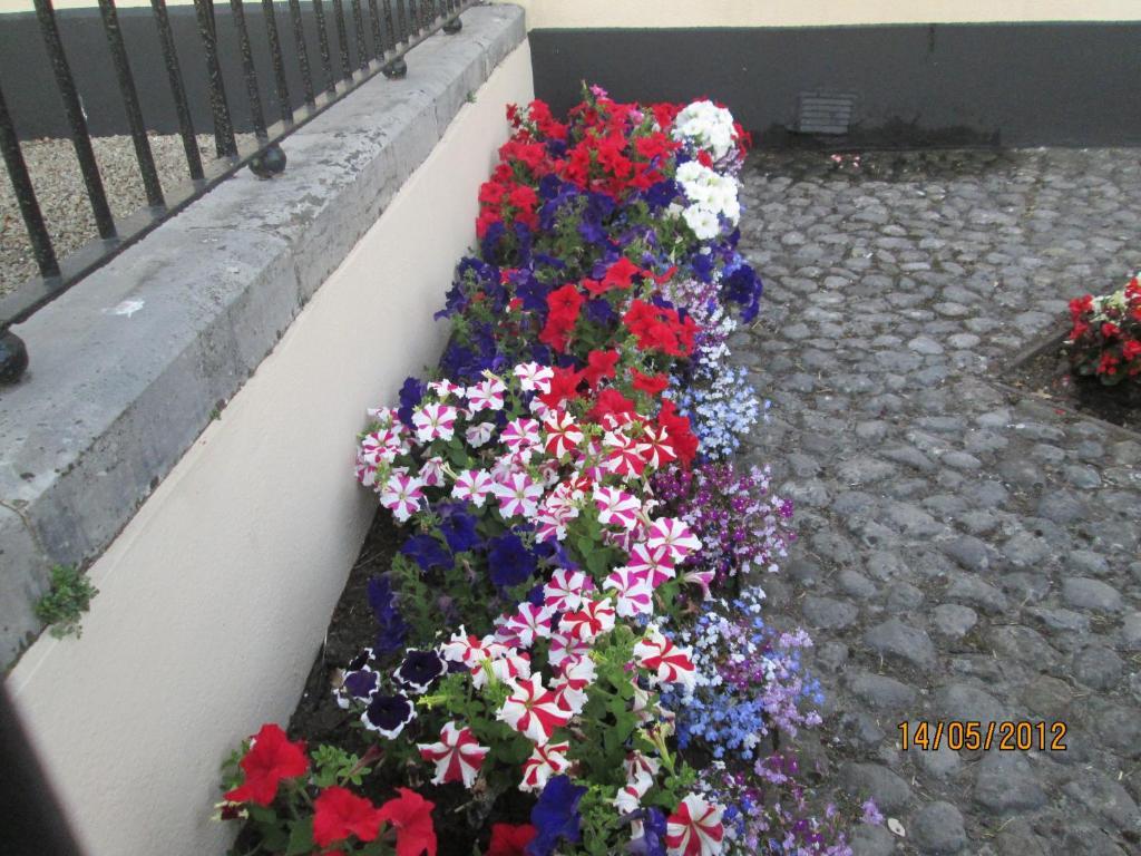 Guest house Townsend House Birr