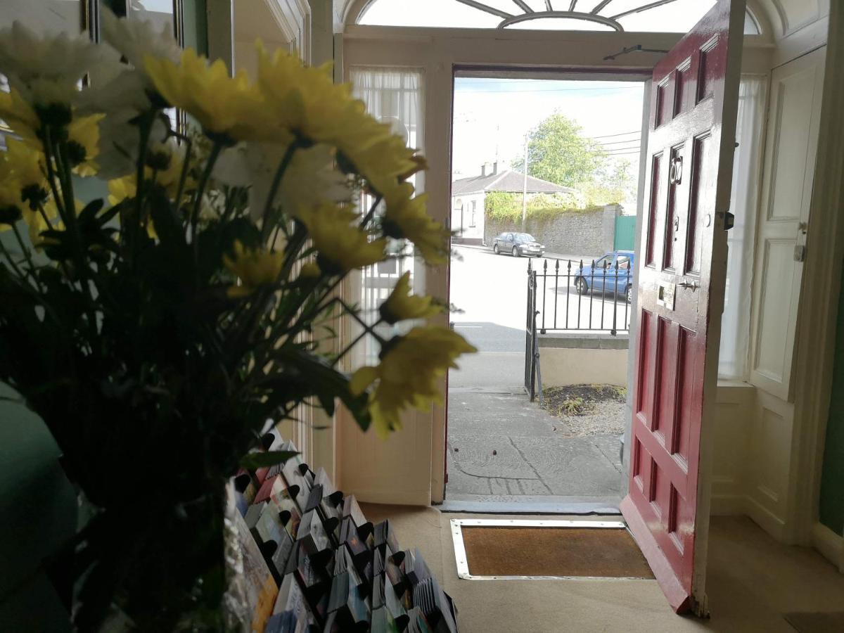 Guest house Townsend House Birr